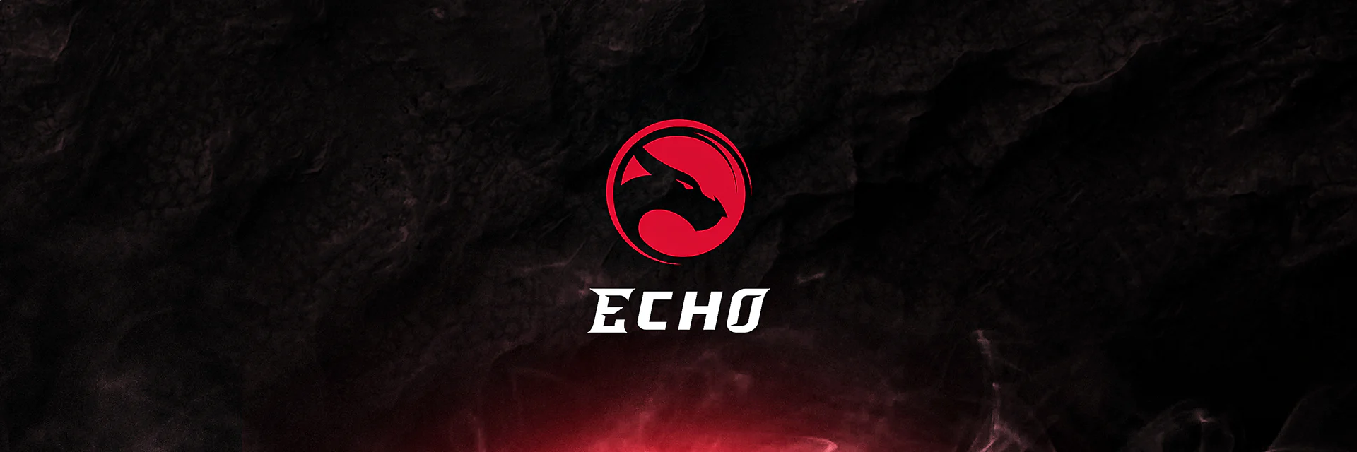 Echo dragon logo on a wide dark red stream banner