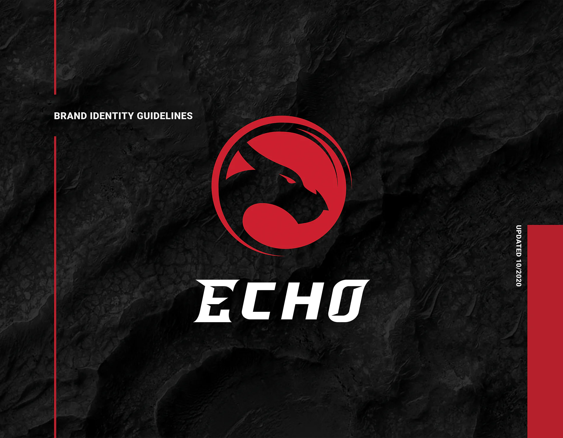 Echo brand identity guidelines cover with the dragon emblem and wordmark