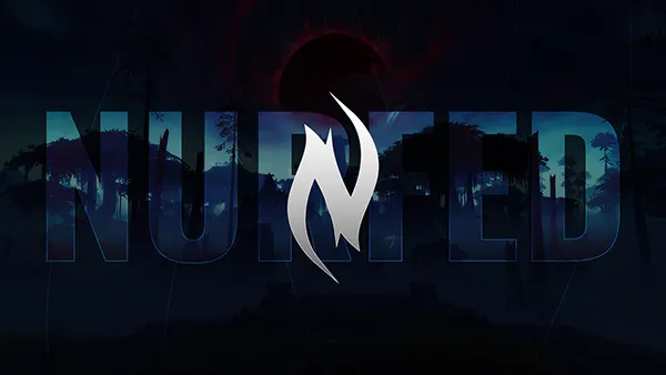 Nurfed guild identity